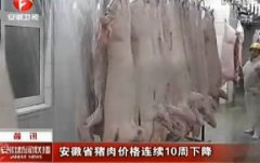 安徽省猪肉价格连降10周