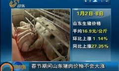山东猪肉价格年前不会大涨